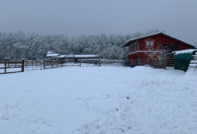 Winter Wonderland Winter Wonderland