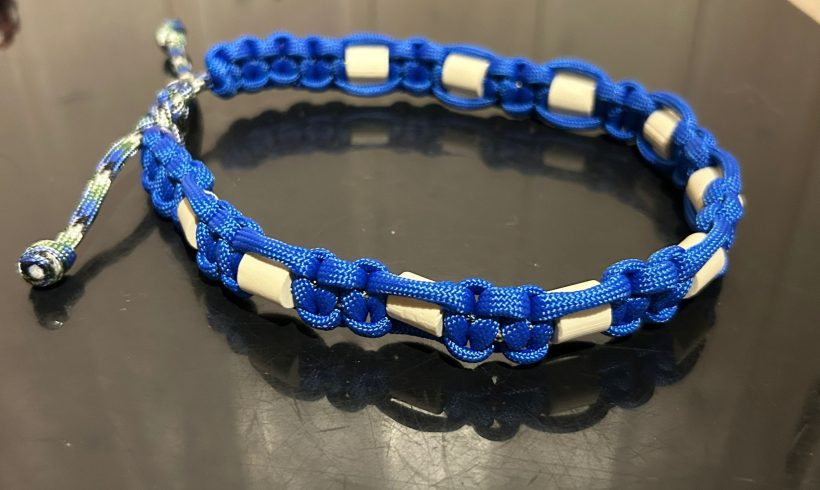 Noch kein Weihnachtsgeschenk?