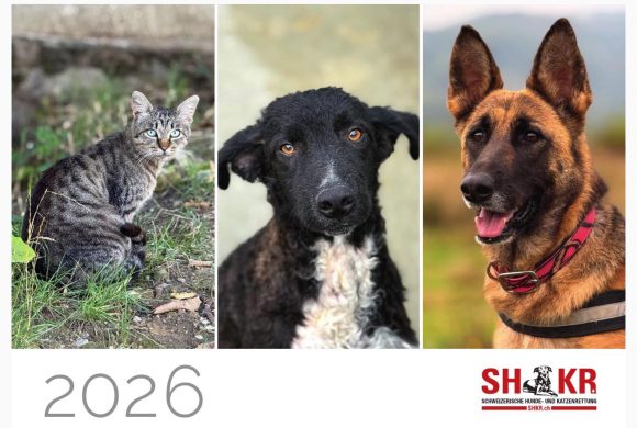 SHKR-Kalender 2026