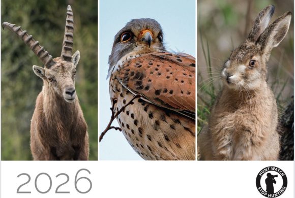 Tierschutzkalender Hunt Watch 2026