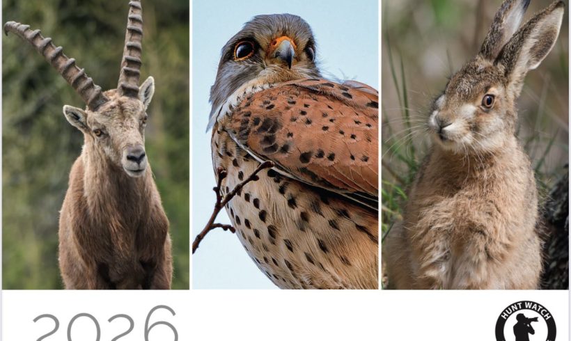 Tierschutzkalender Hunt Watch 2026