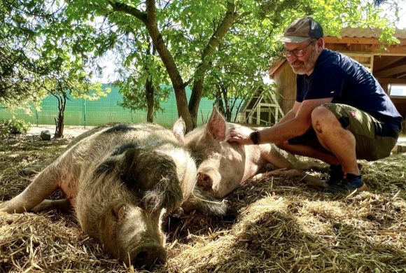 Alexander – Vegan seit 2010