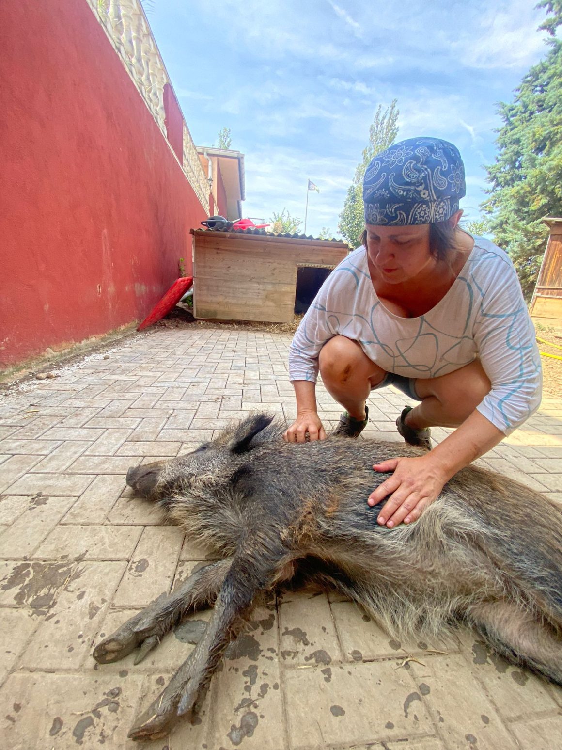 Viele glückliche Momente auf dem Gnadenhof Papillon Viele glückliche Momente auf dem Gnadenhof Papillon