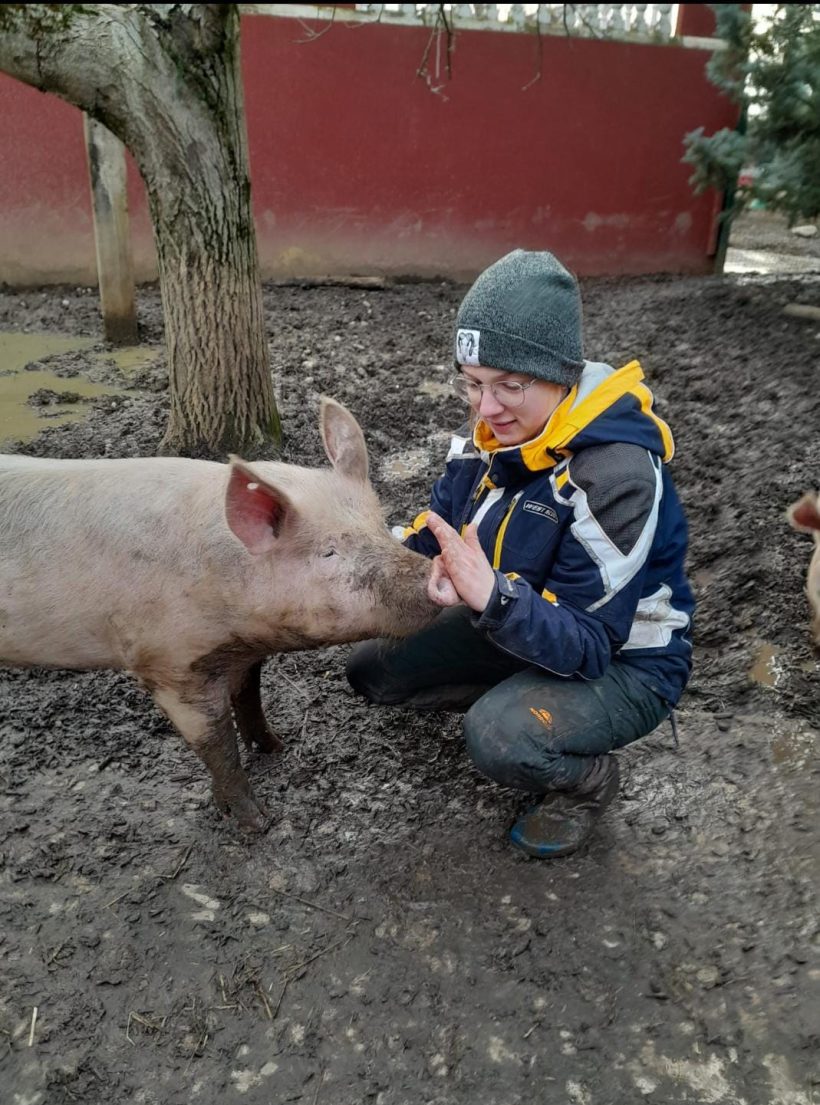 4 wöchiges Praktikum beim Gnadenhof Papillon 4 wöchiges Praktikum beim Gnadenhof Papillon