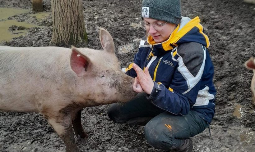 4 wöchiges Praktikum beim Gnadenhof Papillon 4 wöchiges Praktikum beim Gnadenhof Papillon